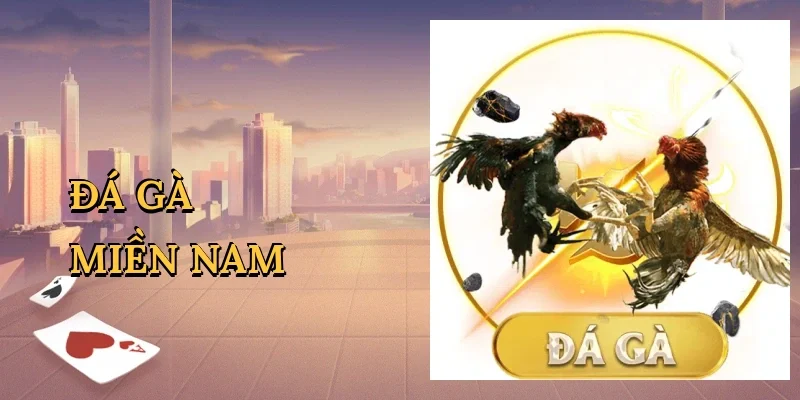 Đá gà miền nam
